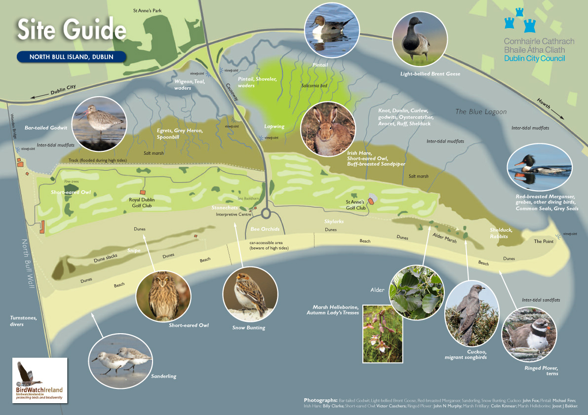 Guide sites. Bull Island. North bull Islands.